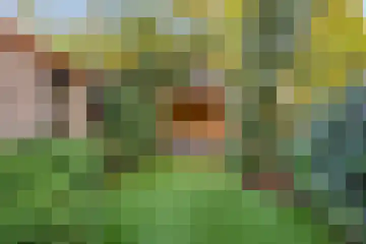 Spechtendonk 8 St. Willebrord thumbnail 4