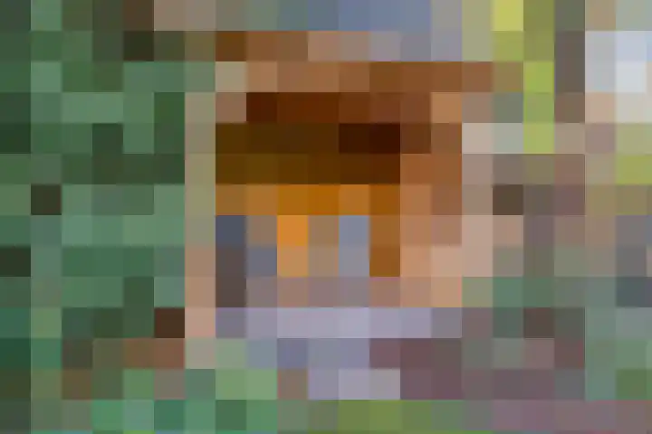 Spechtendonk 8 St. Willebrord thumbnail 41