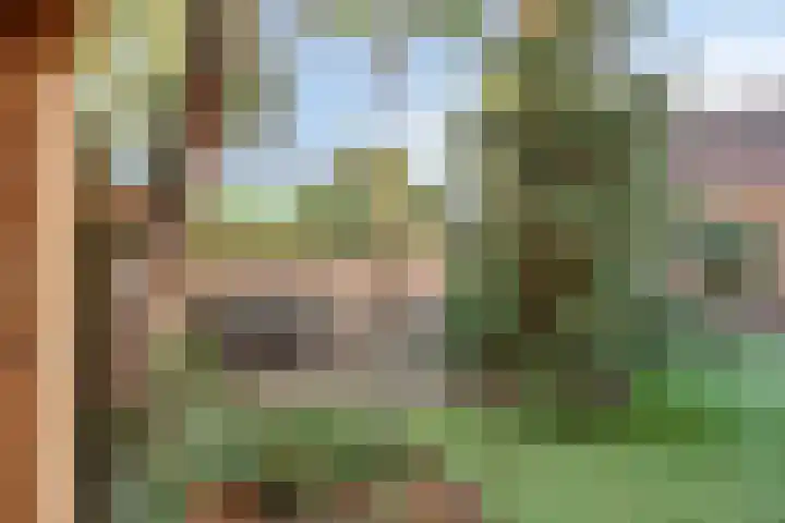 Spechtendonk 8 St. Willebrord thumbnail 42