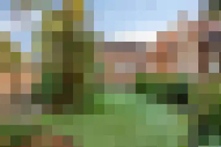 Spechtendonk 8 St. Willebrord thumbnail 43