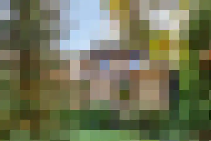 Spechtendonk 8 St. Willebrord thumbnail 44