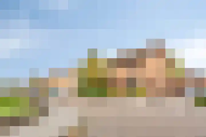 Spechtendonk 8 St. Willebrord thumbnail 45