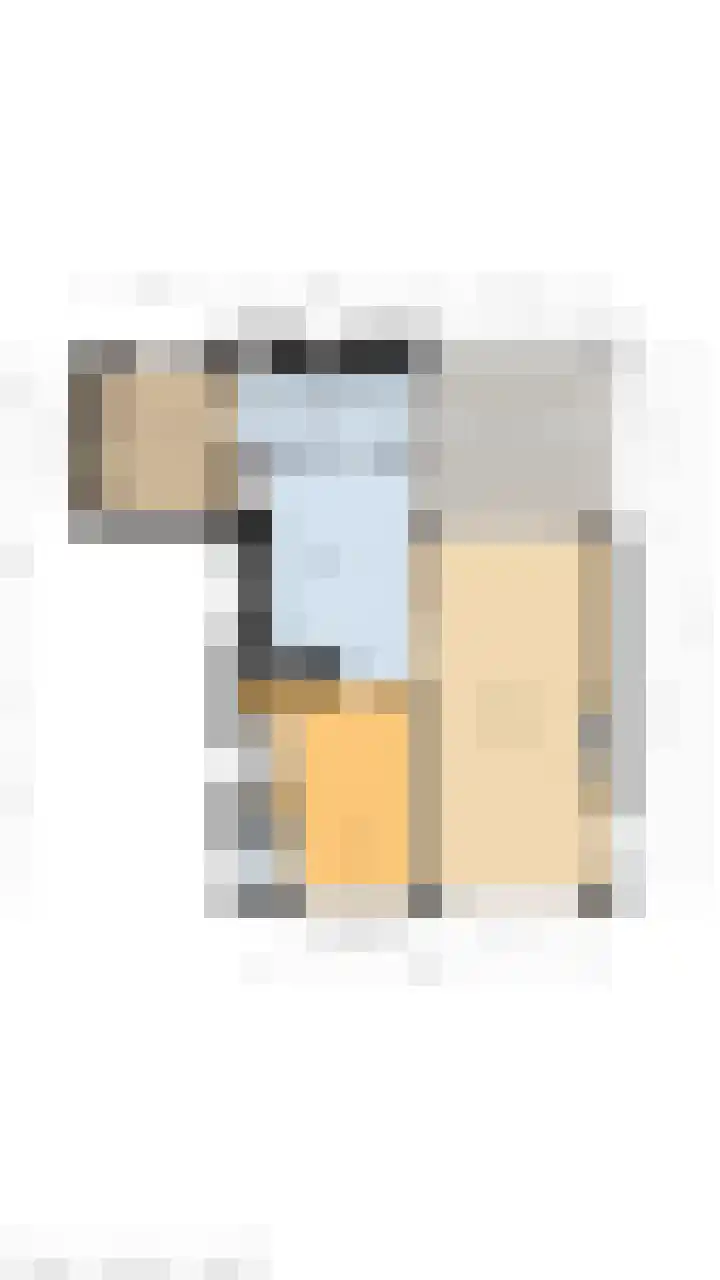 Spechtendonk 8 St. Willebrord thumbnail 46