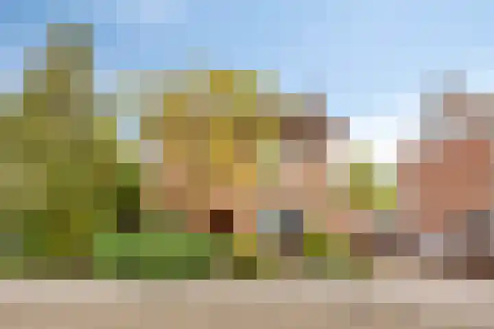 Spechtendonk 8 St. Willebrord thumbnail 5