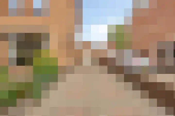 Spechtendonk 8 St. Willebrord thumbnail 6