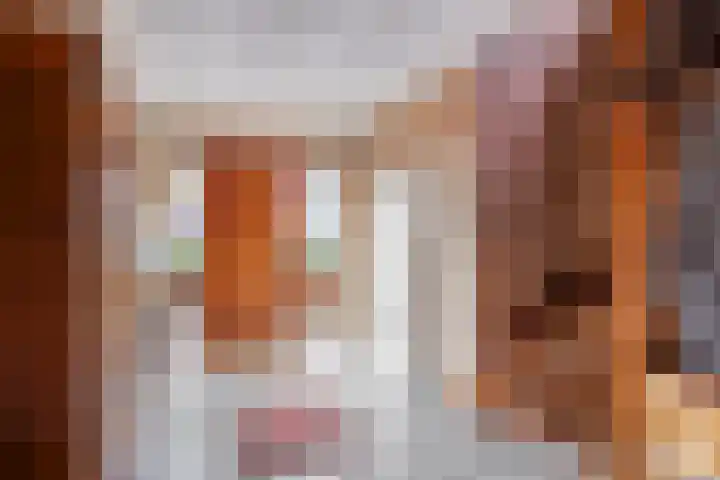 Spechtendonk 8 St. Willebrord thumbnail 8