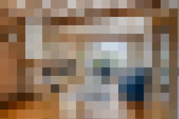 Spechtendonk 8 St. Willebrord thumbnail 9