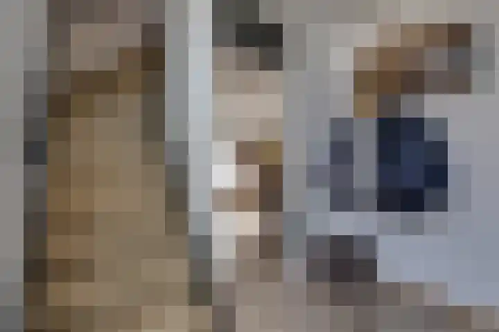 Spechtenhof 11 Stadskanaal thumbnail 18