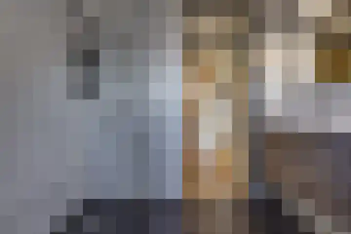 Spechtenhof 11 Stadskanaal thumbnail 21