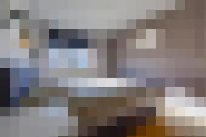 Spechtenhof 11 Stadskanaal thumbnail 23