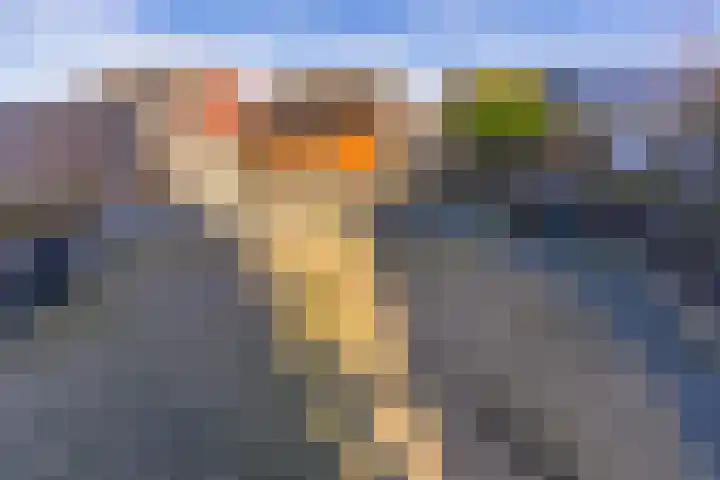 Spechtenhof 11 Stadskanaal thumbnail 32