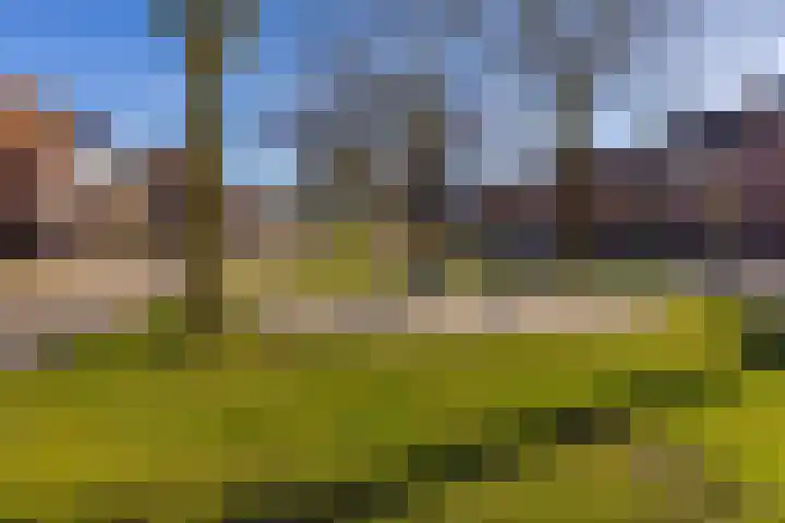 Spechtenhof 11 Stadskanaal thumbnail 5