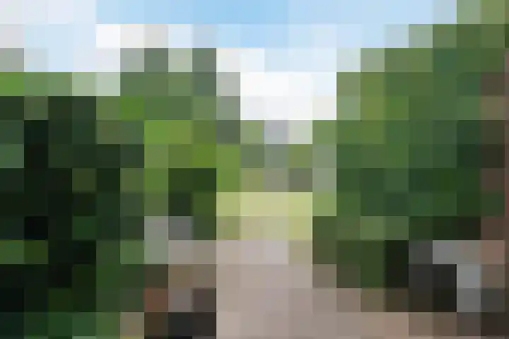 Spechtenhof 27 Stadskanaal thumbnail 25