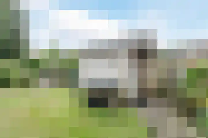 Spechtenhof 27 Stadskanaal thumbnail 27