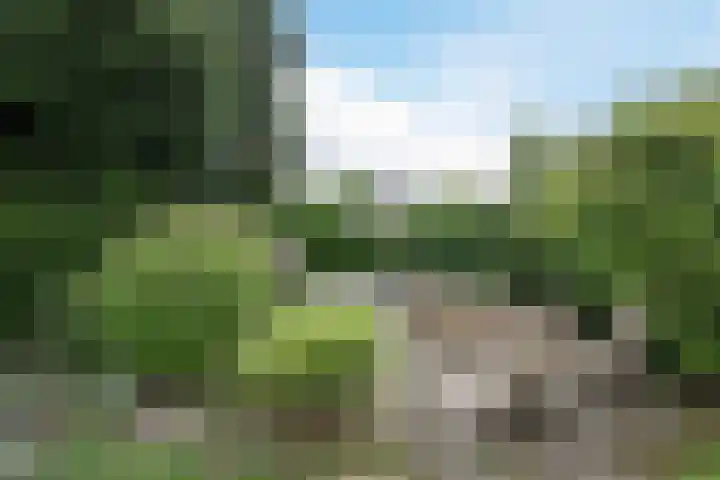 Spechtenhof 27 Stadskanaal thumbnail 28