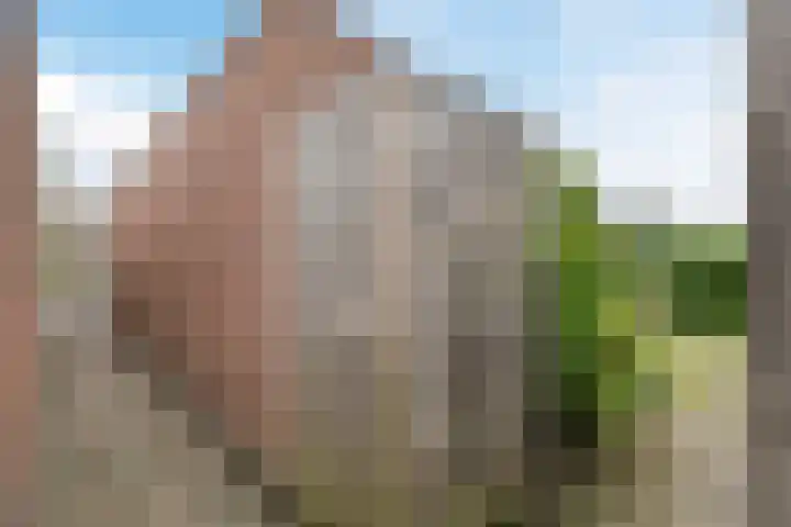 Spechtenhof 27 Stadskanaal thumbnail 29