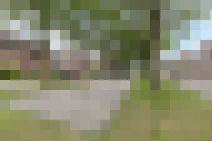 Spechtenhof 27 Stadskanaal thumbnail 30