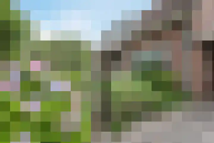 Spechtenhof 27 Stadskanaal thumbnail 4