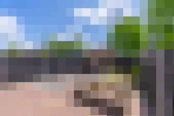 Spechtenkamp 127 Maarssen thumbnail 17