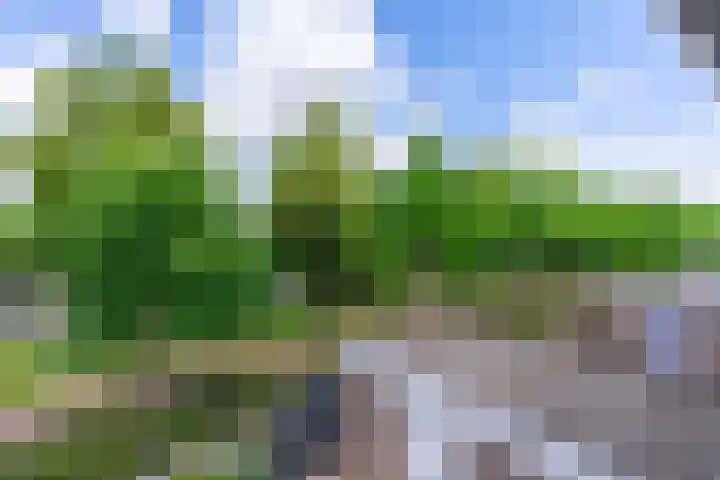 Spechtenkamp 127 Maarssen thumbnail 22