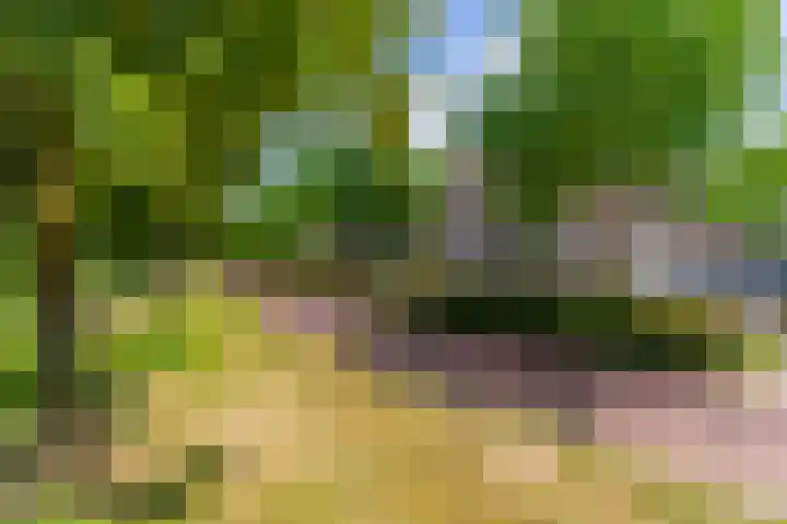 Spechtenkamp 127 Maarssen thumbnail 36
