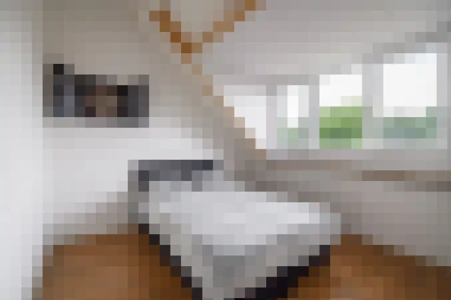Spechtenkamp 227 Maarssen thumbnail 28