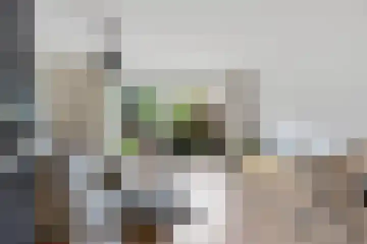 Spechtenkamp 228 Maarssen thumbnail 10