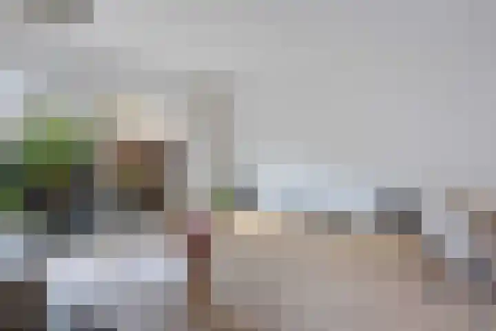 Spechtenkamp 228 Maarssen thumbnail 12
