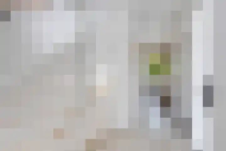 Spechtenkamp 228 Maarssen thumbnail 16