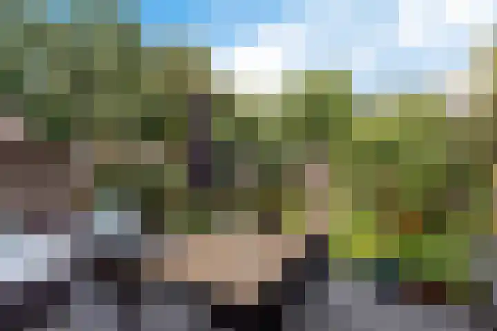 Spechtenkamp 228 Maarssen thumbnail 31