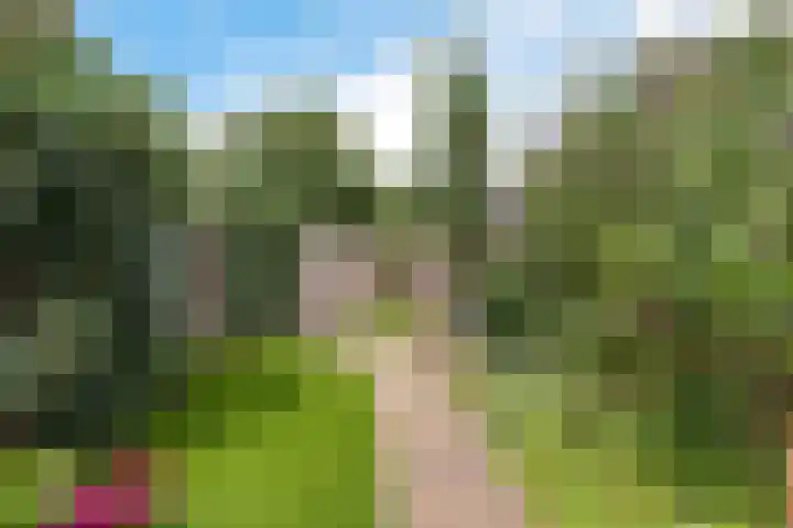 Spechtenkamp 228 Maarssen thumbnail 34