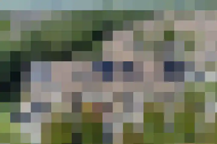 Spechtenkamp 228 Maarssen thumbnail 37