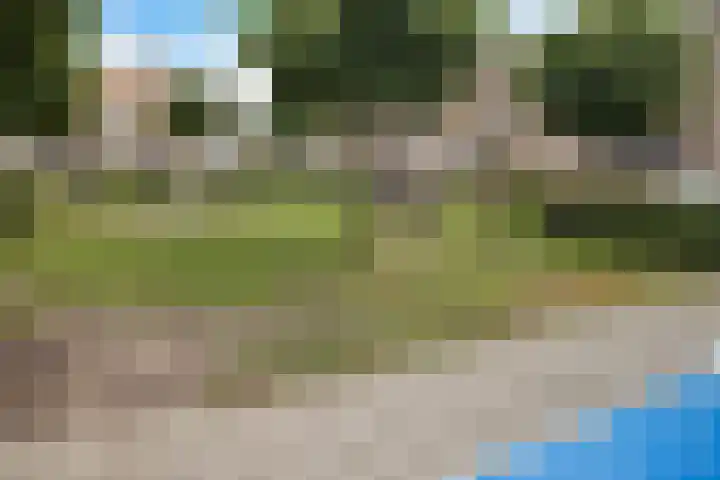Spechtenkamp 228 Maarssen thumbnail 38
