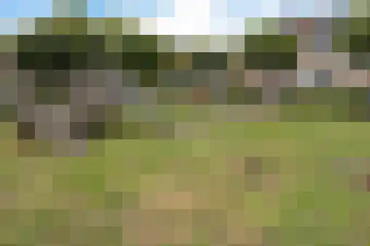 Spechtenkamp 228 Maarssen thumbnail 39