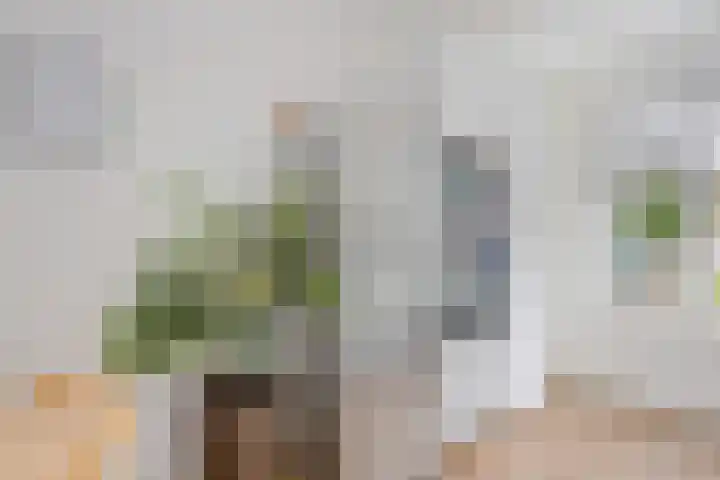 Spechtenkamp 228 Maarssen thumbnail 8