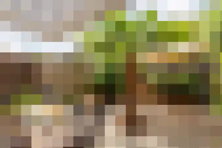 Spechtenkamp 270 Maarssen thumbnail 31