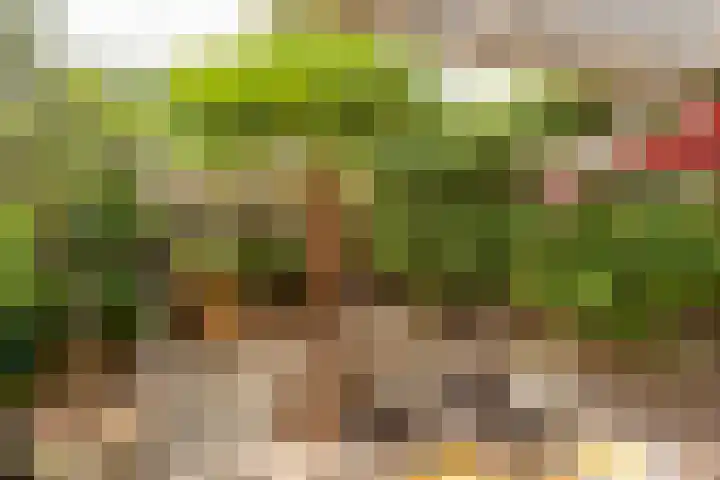 Spechtenkamp 270 Maarssen thumbnail 32