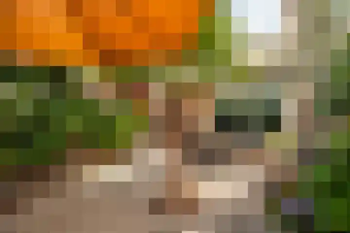 Spechtenkamp 270 Maarssen thumbnail 34