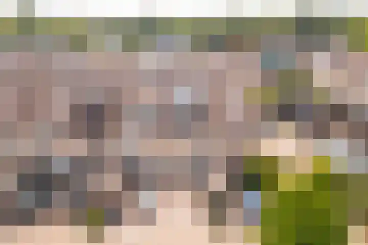 Spechtenkamp 270 Maarssen thumbnail 40