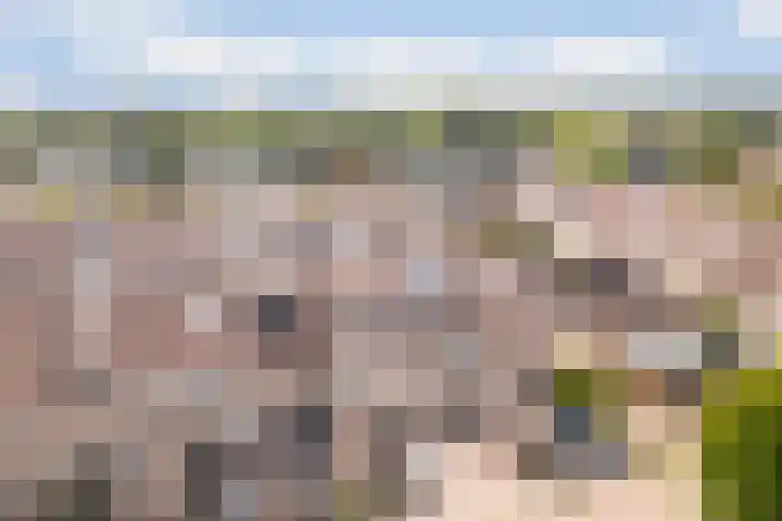 Spechtenkamp 270 Maarssen thumbnail 41