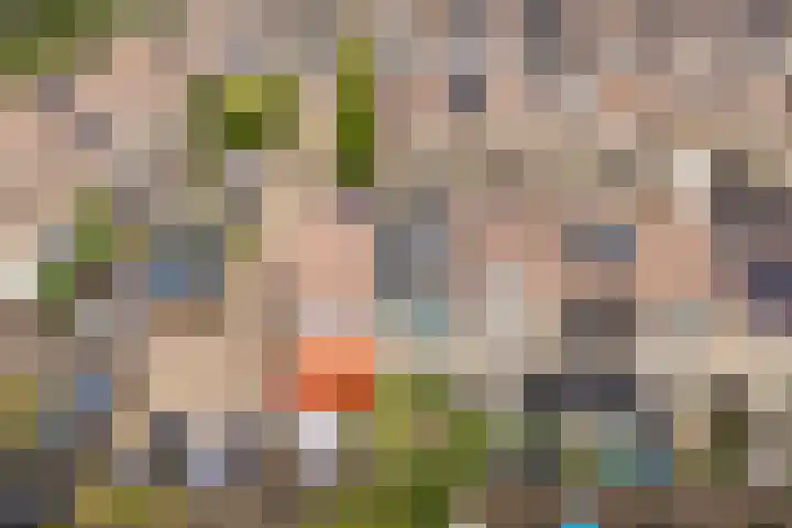 Spechtenkamp 270 Maarssen thumbnail 42