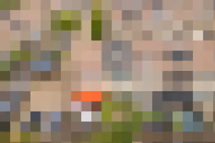 Spechtenkamp 270 Maarssen thumbnail 43