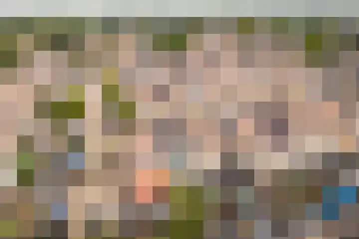 Spechtenkamp 270 Maarssen thumbnail 44