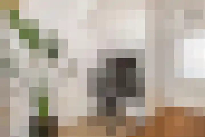 Spechtenkamp 270 Maarssen thumbnail 6