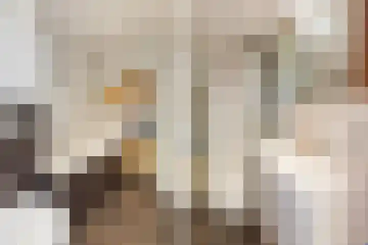 Spechtenkamp 282 Maarssen thumbnail 22