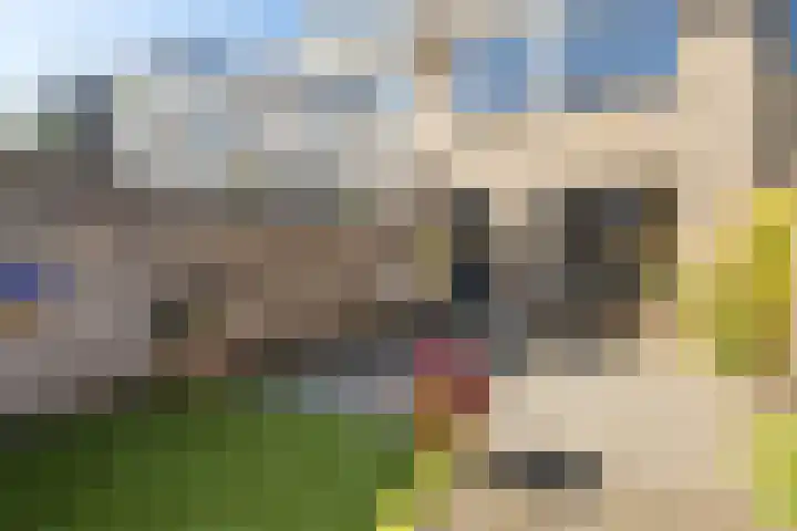 Spechtenkamp 282 Maarssen thumbnail 28
