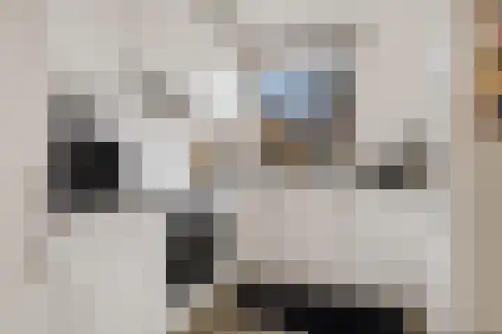 Spechtenkamp 287 Maarssen thumbnail 10