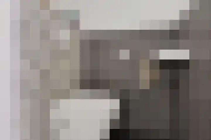 Spechtenkamp 287 Maarssen thumbnail 14