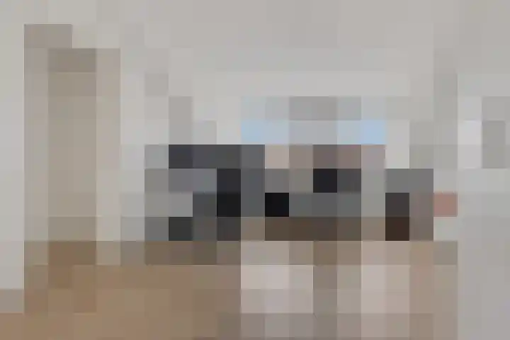 Spechtenkamp 287 Maarssen thumbnail 30