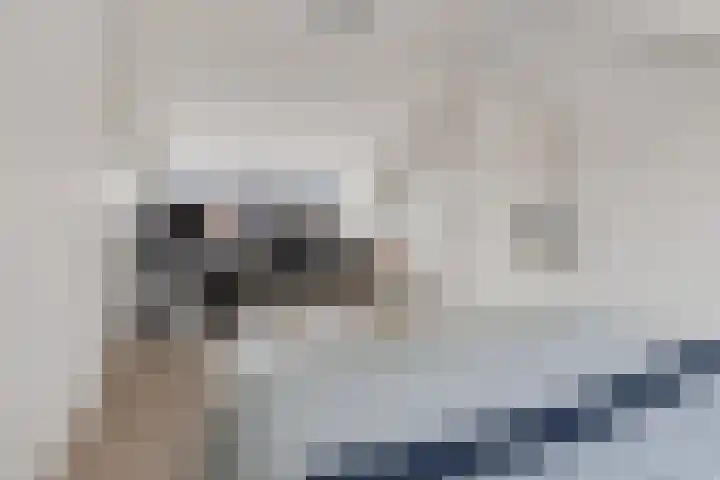 Spechtenkamp 287 Maarssen thumbnail 31